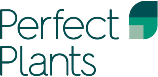 Perfect Plants