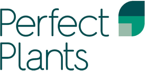Perfect Plants Perfect Plants