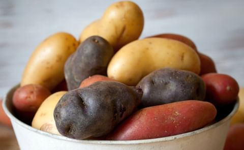 US Potato Sales at Retail See 32% Increase in Volume Since March 16
US Potato Sales at Retail See 32% Increase in Volume Since March 16