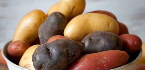 US Potato Sales at Retail See 32% Increase in Volume Since March 16