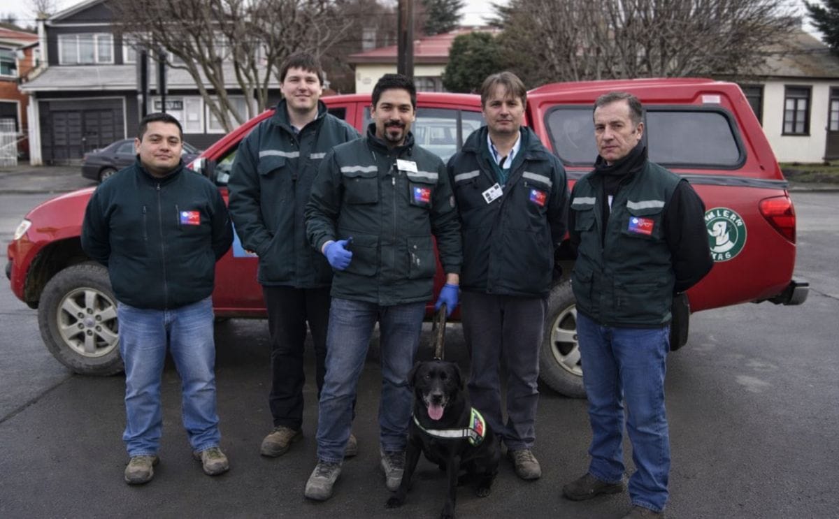Chile: SAG dispuso la participación de perros para impedir traslado de papa consumo y/o semilla hacia área productora Chile: SAG dispuso la participación de perros para impedir traslado de papa consumo y/o semilla hacia área productora