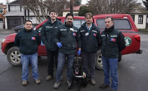 Chile: SAG dispuso la participación de perros para impedir traslado de papa consumo y/o semilla hacia área productora Chile: SAG dispuso la participación de perros para impedir traslado de papa consumo y/o semilla hacia área productora