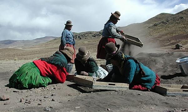 Researchers trace roots of potato farming to Andes