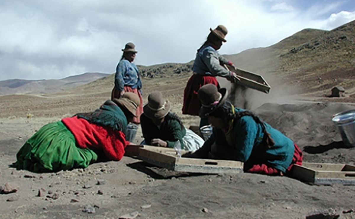 A group of villagers from Jachacachi, Peru, help excavate the site where evidence of potato domestication was found.