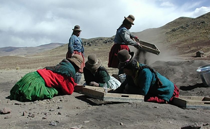 A group of villagers from Jachacachi, Peru, help excavate the site where evidence of potato domestication was found.