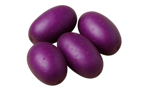 PERU BICENTENARIO PERU BICENTENARIO