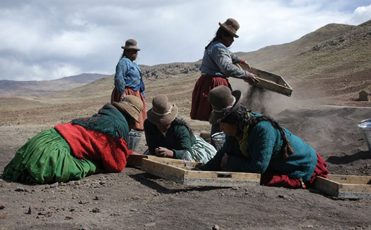 A group of villagers from Jachacachi, Peru, help excavate the site where evidence of potato domestication was found.