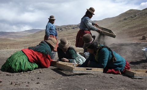 A group of villagers from Jachacachi, Peru, help excavate the site where evidence of potato domestication was found. A group of villagers from Jachacachi, Peru, help excavate the site where evidence of potato domestication was found.