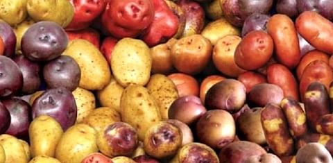Patatas de Peru