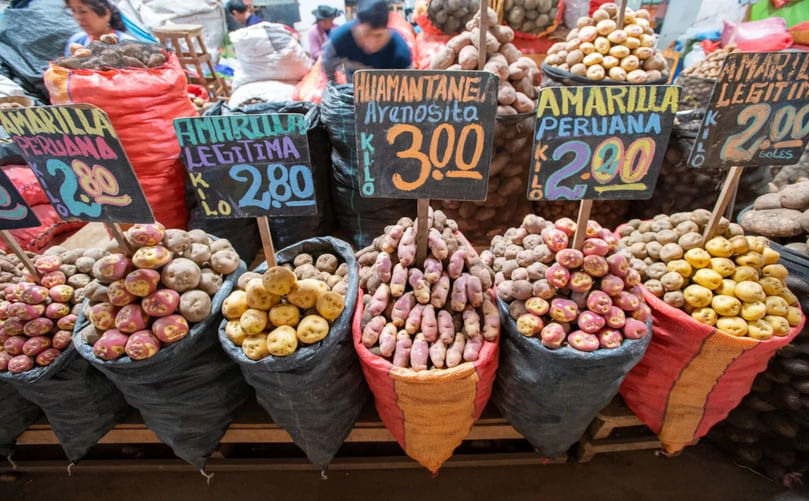 A Spectrum of Potato Diversity at Huancayo Central Market CAPTION