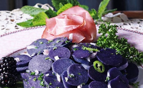 Las papas de colores (perupas) son la respuesta de HZPC a las demandas de grandes chefs y cocineros domésticos por una variedad en la presentación y el gusto de los tubérculos. Las papas de colores (perupas) son la respuesta de HZPC a las demandas de grandes chefs y cocineros domésticos por una variedad en la presentación y el gusto de los tubérculos.