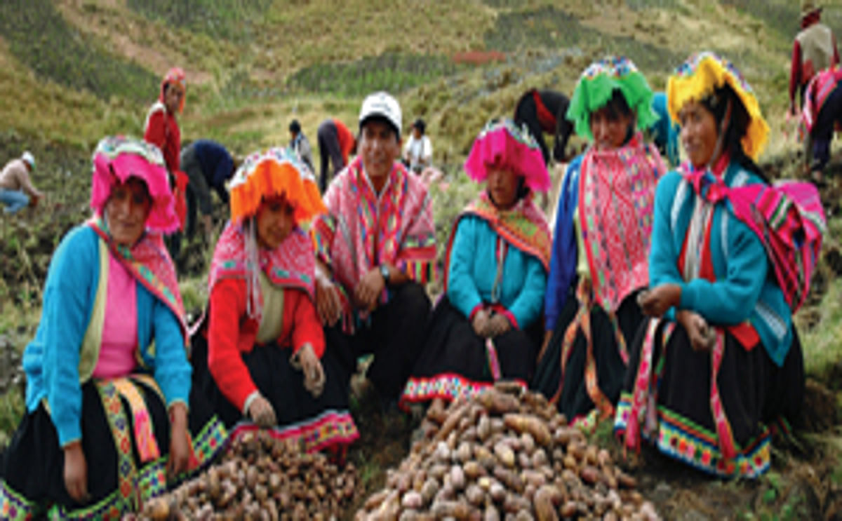 Potato farmers in Peru (International Potato Center)
