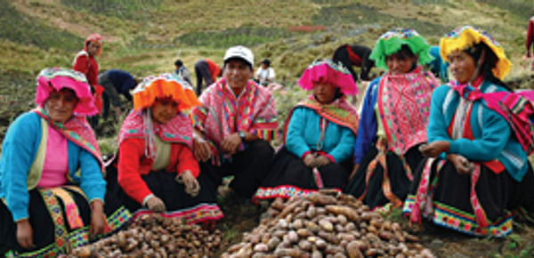  Potato farmers in Peru (International Potato Center)