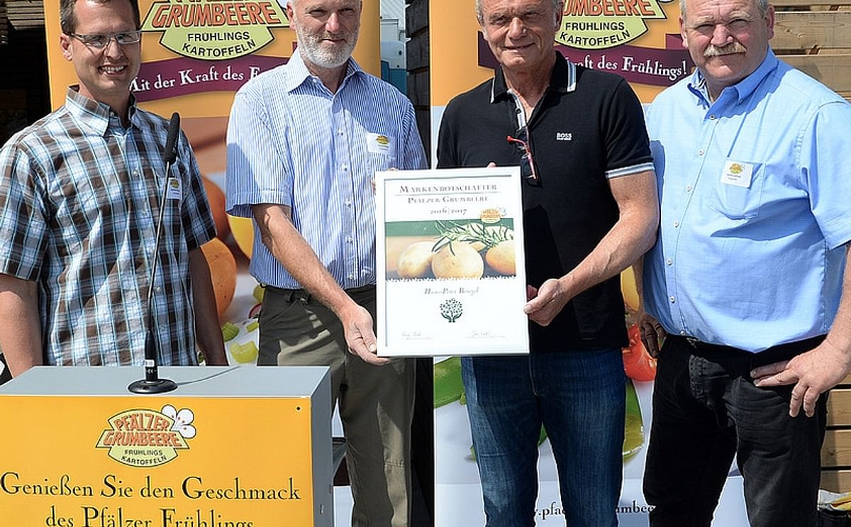 First German new potatoes harvested in Pfalz region First German new potatoes harvested in Pfalz region