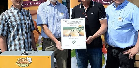 First German new potatoes harvested in Pfalz region