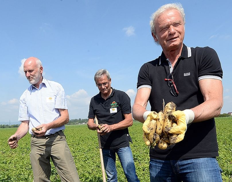 Hans-Peter Briegel, Pfalz potato ambassador for the season 2016/17, with the first potatoes...(Courtesy: Pfälzer Grumbeere)