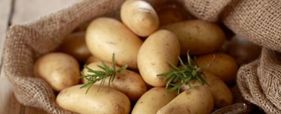 The new potatoes are delicious, versatile and healthy and don't need to be peeled (Courtesy: Pfälzer Grumbeere)