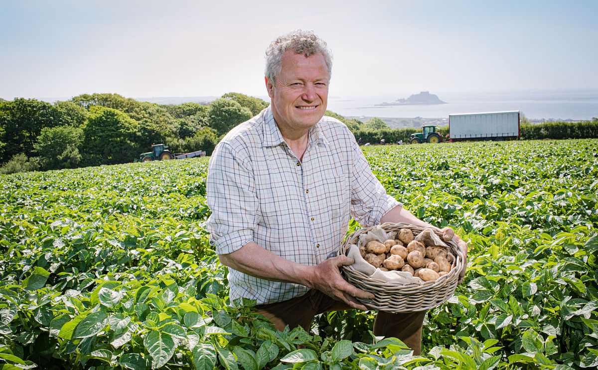 Philip Pryor harvesting Cornish New Potatoes