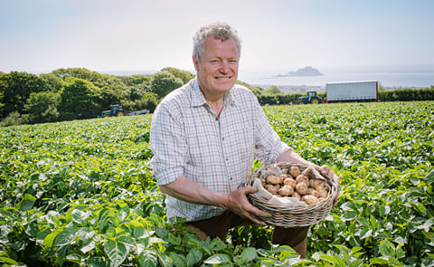 Philip Pryor harvesting Cornish New Potatoes Philip Pryor harvesting Cornish New Potatoes