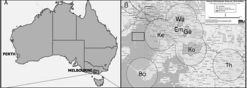 A, Map of Australia indicating the locations of potato cyst nematode (PCN) incursions in Western Australia (Perth, now eradicated) and Victoria (Melbourne, currently established); lines on map indicate Australian state boundaries. B, Victorian quarantine zones (gray) and 20-km controlled areas (circles) which historically involved restricted movement of potato material and extra hygiene restrictions around PCN outbreaks. Location abbreviations: Bo = Boneo, Em = Emerald, Ge = Gembrook, Ke = Keysborough, Ko = Koo Wee Rup/Cora Lynn, To = Thorpdale, and Wa = Wandin. (Courtesy: American Phytopathological Society)