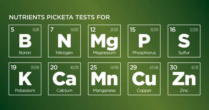 Nutrients Picketa is testing (Courtesy: Seed World Group) Nutrients Picketa Test(Courtesy: Seed World Group)