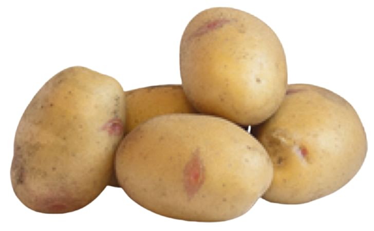 PIERWIOSNEK PIERWIOSNEK