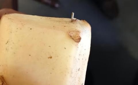 Potato Industry raises Award for tips on needles in potatoes to CAD 500 000 Potato Industry raises Award for tips on needles in potatoes to CAD 500 000