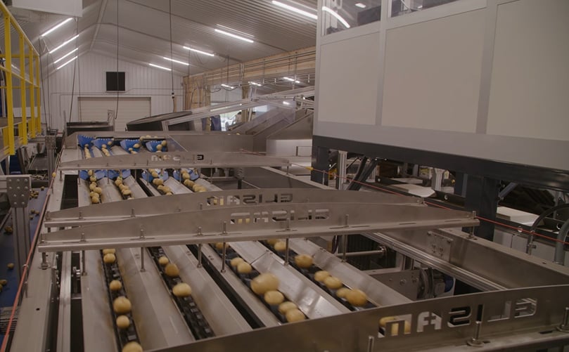Smaller-scale grower Pioneer Potatoes achieves big results with grading technology Smaller-scale grower Pioneer Potatoes achieves big results with grading technology