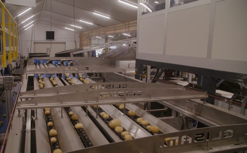 Smaller-scale grower Pioneer Potatoes achieves big results with grading technology