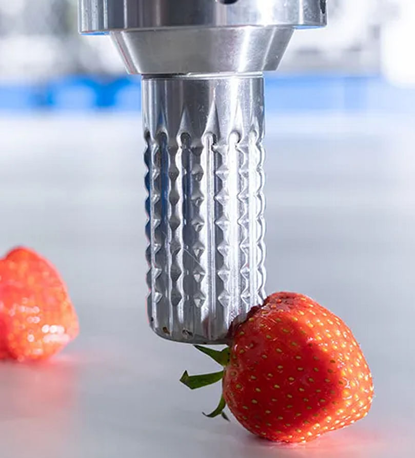 PIP Innovations D-BLADE Strawberries