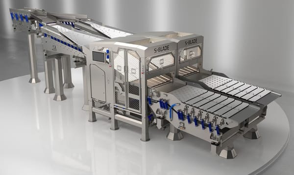 PIP Innovations S-Blade - Automated Defect Removal System for Strip Products (French Fries) PIP Innovations S-Blade - Automated Defect Removal System for Strip Products (French Fries)