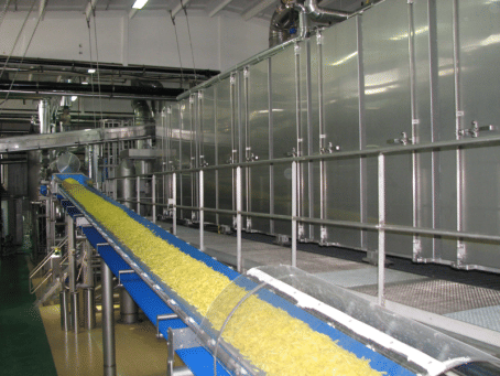 Pizzoli Dryer