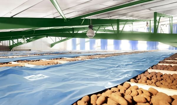 PJ Lee &amp; Sons pleased with new storage for processing potatoes destined for chip shops