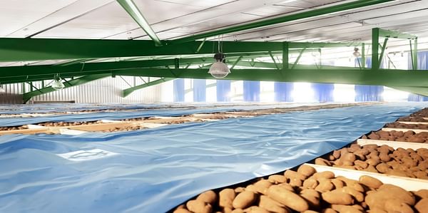 PJ Lee &amp; Sons pleased with new storage for processing potatoes destined for chip shops