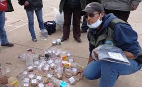 Bolivia: Se inicia campaña contra el gusano blanco para evitar pérdidas en producción de papa Bolivia: Se inicia campaña contra el gusano blanco para evitar pérdidas en producción de papa