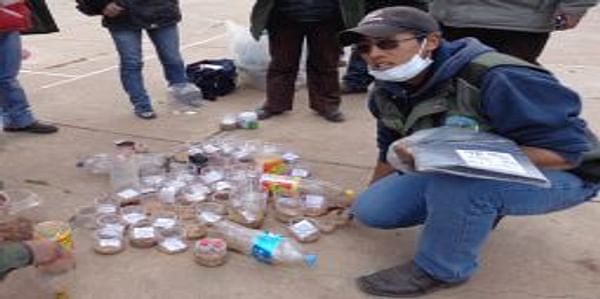 Bolivia: Se inicia campaña contra el gusano blanco para evitar pérdidas en producción de papa