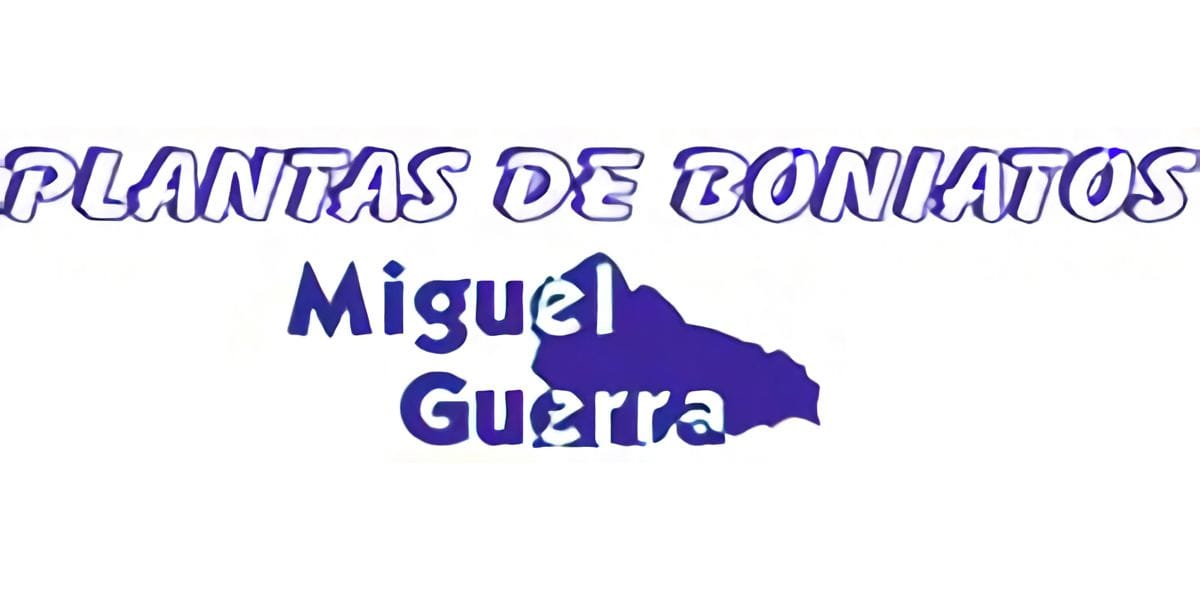 Plantas de Boniato Miguel Guerra S.L.