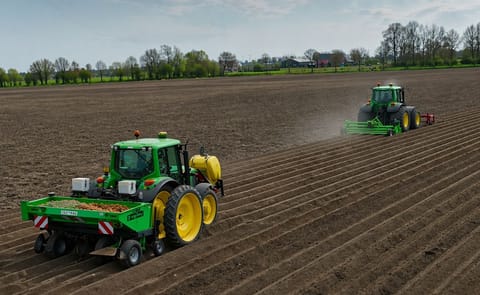 Potato Planting Potato Planting