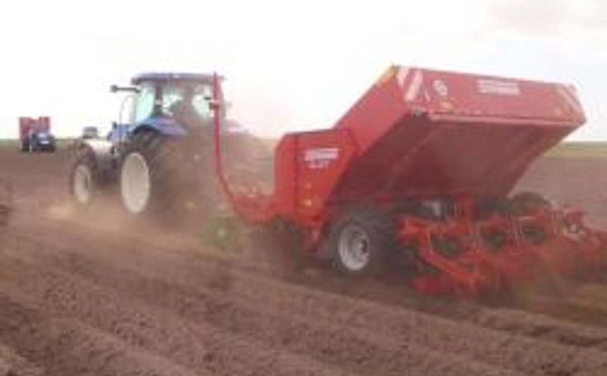 Planting potatoes Planting potatoes