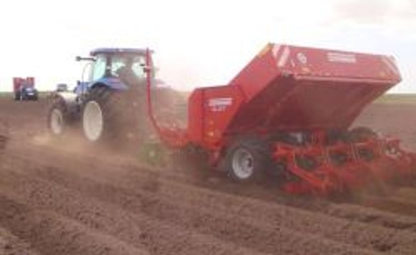 Will US Growers Plant Too Many Potatoes in 2012?