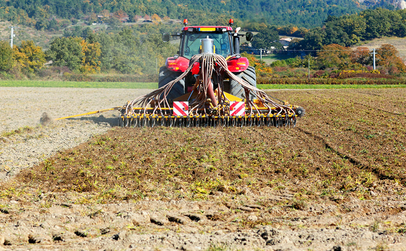 Turning the Soil: Preparing for Healthy Potato Growth