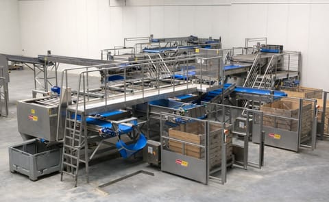 Tong Peal expands International Customer Base with two Large-Scale Packhouse Contracts Tong Peal expands International Customer Base with two Large-Scale Packhouse Contracts