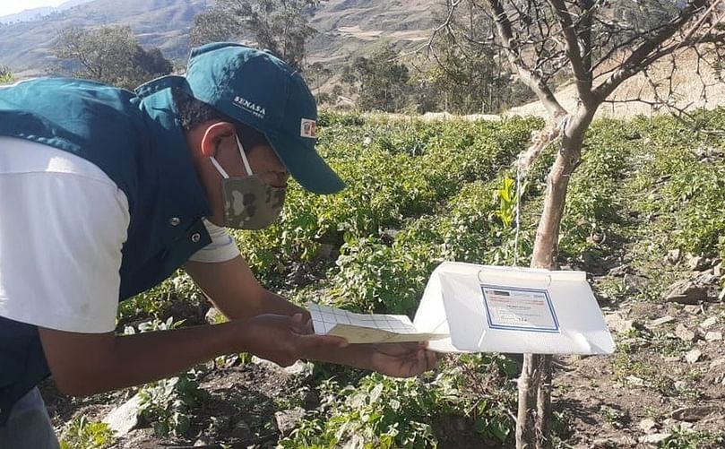 Este sistema de vigilancia permite detectar de manera oportuna la posible presencia de la polilla Este sistema de vigilancia permite detectar de manera oportuna la posible presencia de la polilla.