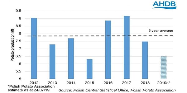 Could a Polish shortfall benefit the UK packing market?