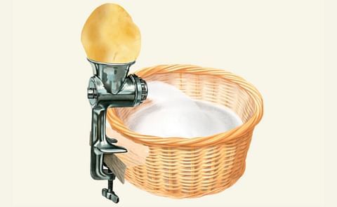 PoLoPo Scales to Field Cultivation of Protein-Producing Potato Plants PoLoPo Scales to Field Cultivation of Protein-Producing Potato Plants