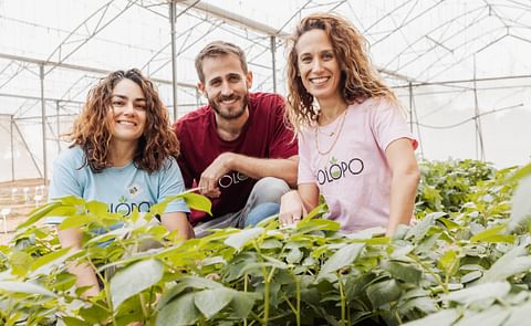 The PoLoPo team celebrates a groundbreaking achievement as they successfully scale molecular farming, becoming the first to grow and process protein-rich potatoes at an industrial level. The PoLoPo team celebrates a groundbreaking achievement as they successfully scale molecular farming, becoming the first to grow and process protein-rich potatoes at an industrial level.