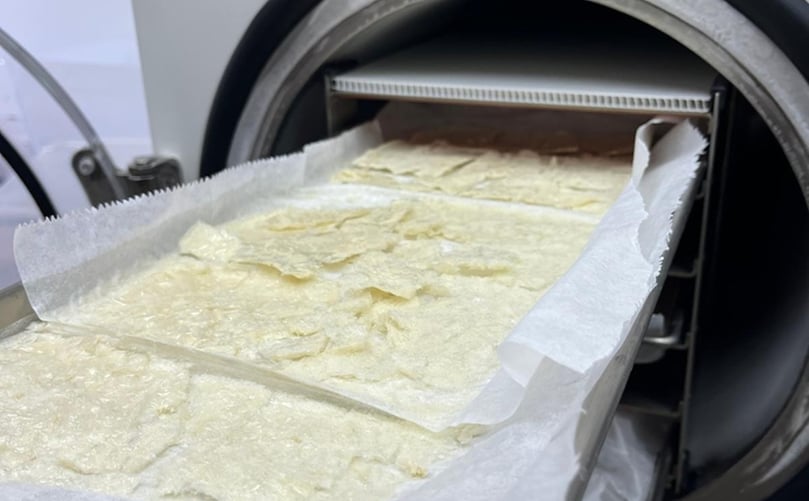 PoLoPo’s functional protein powder, derived from transgenic potato plants, is set to revolutionize food industry formulations with its high-quality, non-GMO protein. PoLoPo’s functional protein powder, derived from transgenic potato plants, is set to revolutionize food industry formulations with its high-quality, non-GMO protein.