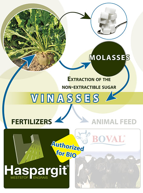 Haspargit® : the raw material!… a source of minerals: potassium, calcium and sulphur!