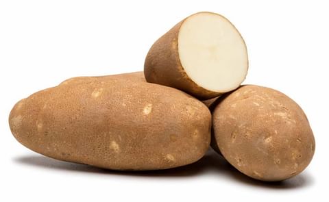 Increasing International interest in PVMI Potato Varieties Increasing International interest in PVMI Potato Varieties