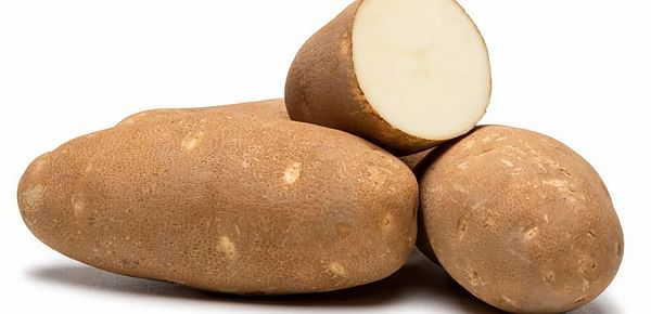 Increasing International interest in PVMI Potato Varieties 